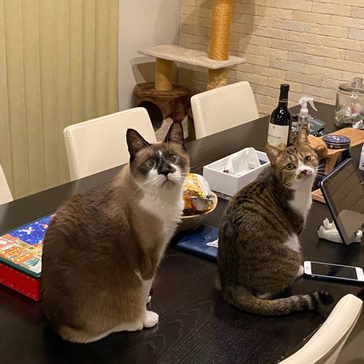 910f0ced 1108 48e1 a549 e3913c70e6fd 1612053625289