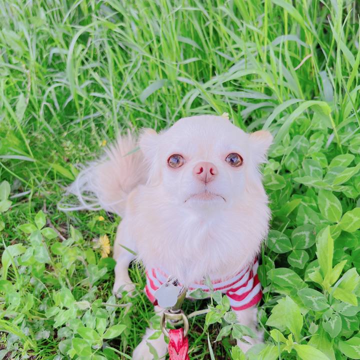 910f7c4a 755c 4a92 8617 1507dba2a00a 1682590342857