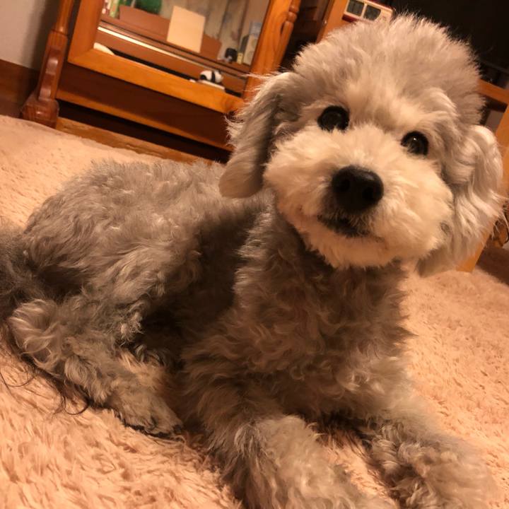 910f9eba f67c 4b94 8173 dbcff010fb2b 1548858764515