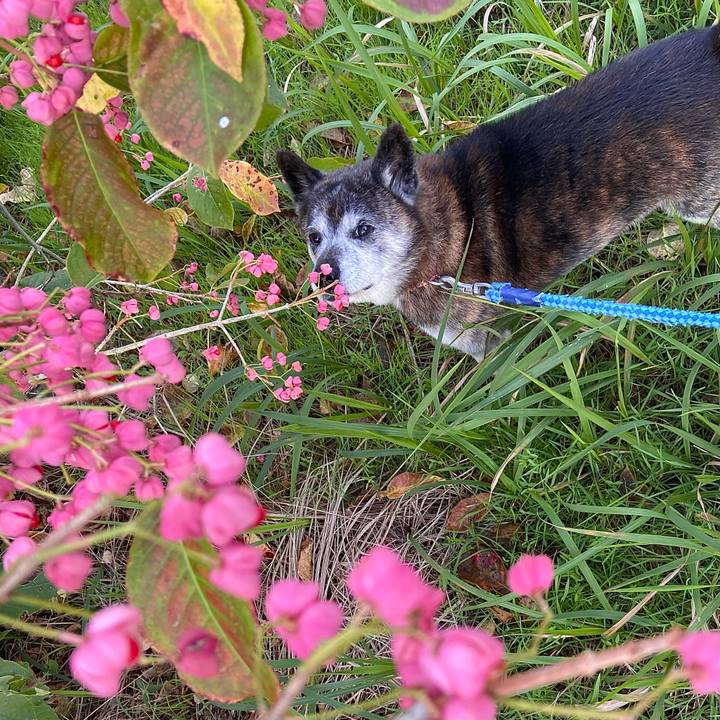 910fa27a d6ce 45d1 a841 6772b15c7810 1730155771546