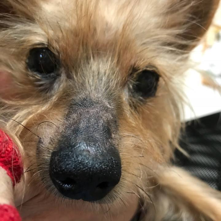 910fc9aa d5dc 4fd2 9e0e 1cd54cd96356 1523775223496