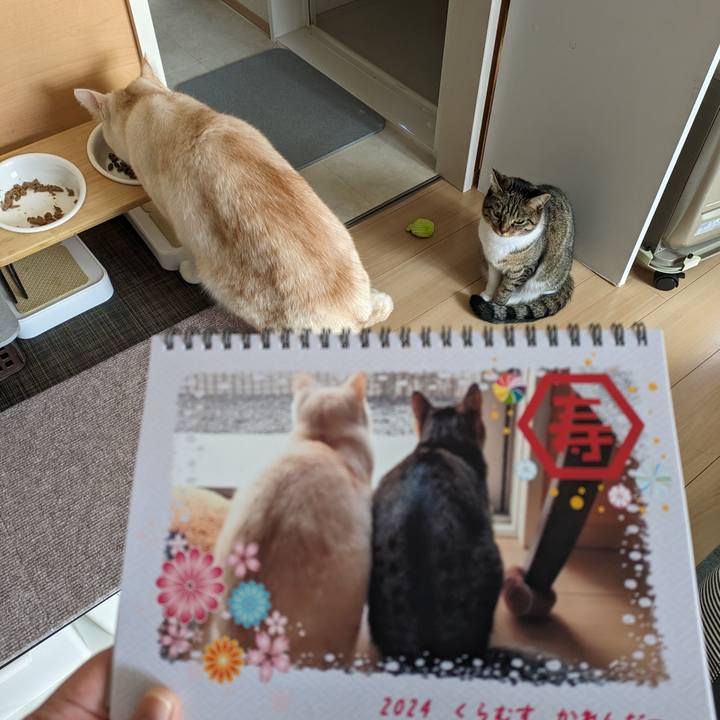 910fdbb1 5861 452a b299 63fbade755f5 1698958091154