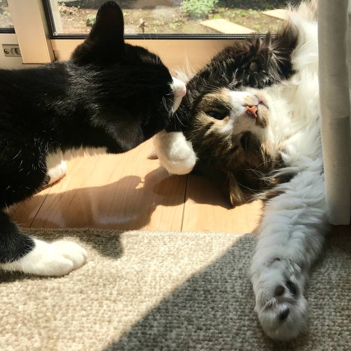 91100050 8d26 46cb 8fc5 115f8116d94b 1524278860403