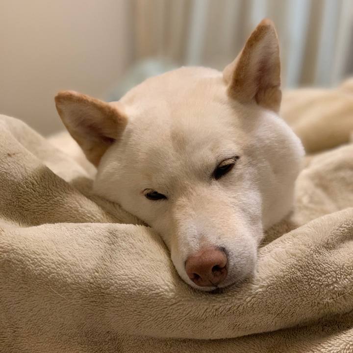 9110114a 14d0 49de bb2c e9d6f8ebcaf2 1550698156679