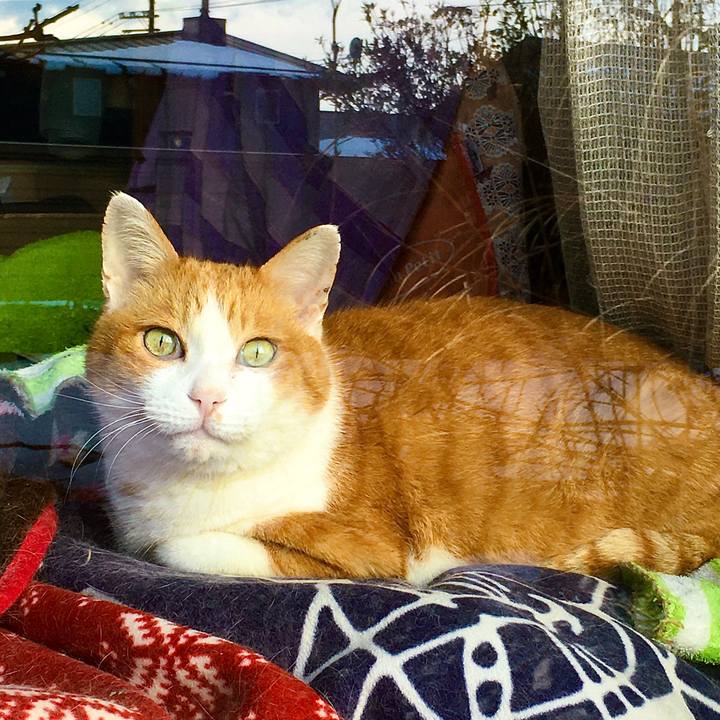 9110148a 0dd4 4023 83e0 862e435fd13e 1611642987204