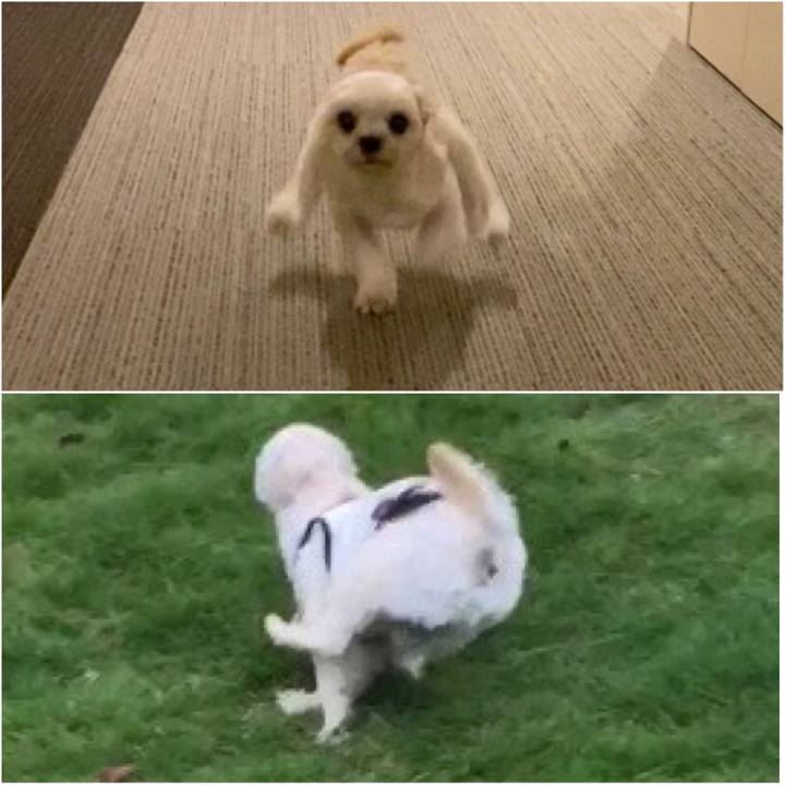 91102503 6937 41df 90be ed3f168ef575 1572269244744