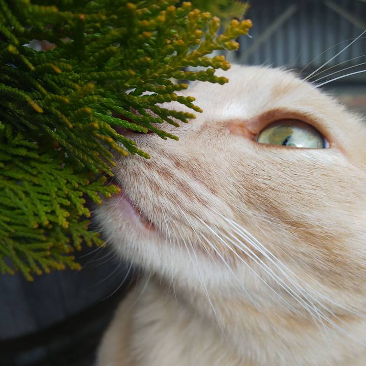 91103f79 4996 4b59 aa61 1cbe23c2046f 1667012780972