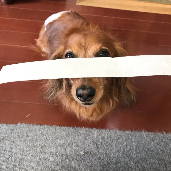 91105039 5582 494f 9204 282fb004e728 1583223110684