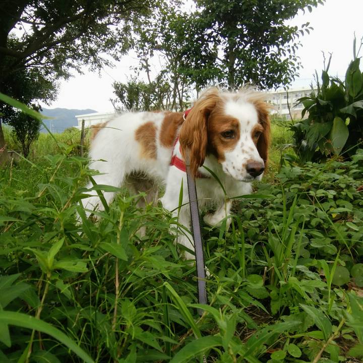 91107c54 2752 4335 b212 f7988155c5d6 1536752185387