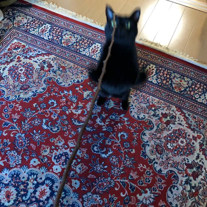 9110a4ee 42e4 4ab2 ae0f 8ab085d3be46 1543190812979