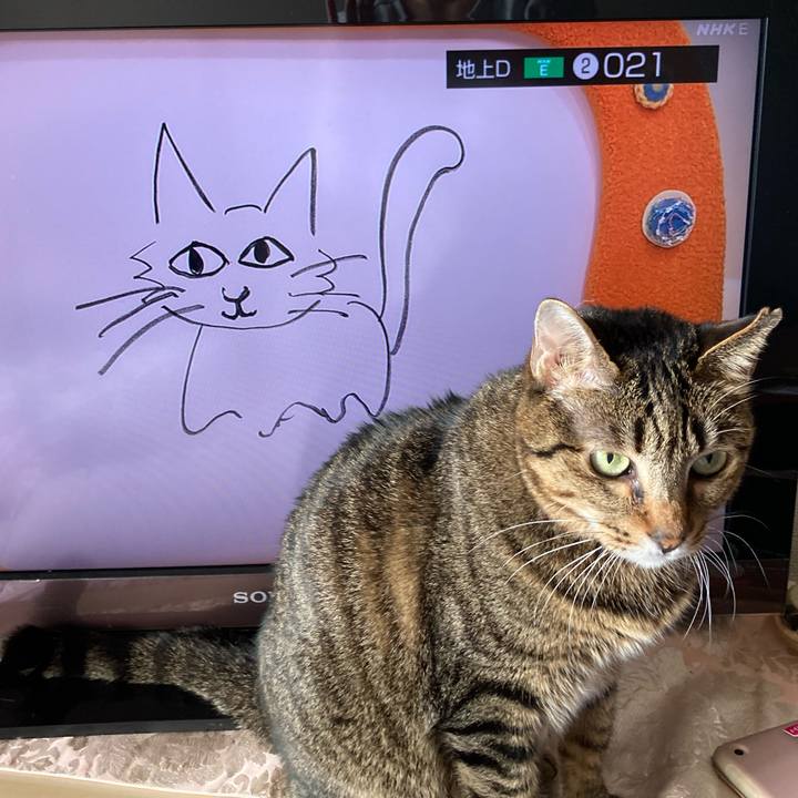 9110c435 c86e 4f21 9221 ea1f9501bd9b 1637193136214