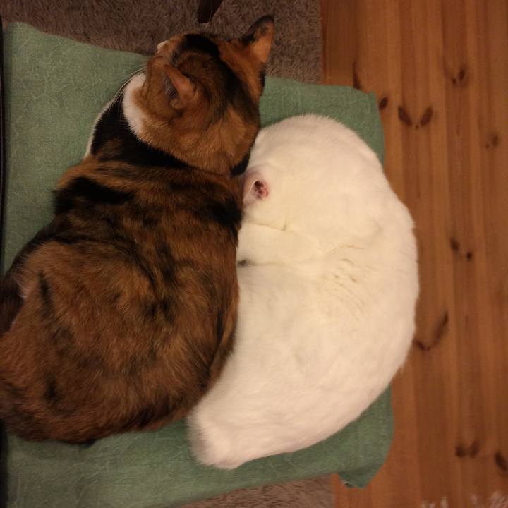 9110f40c b389 460d 95af 67686767f13b 1508656960193