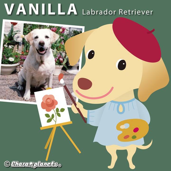 91113811 ee0c 44ec 9689 5364d6139b75 1563069275700