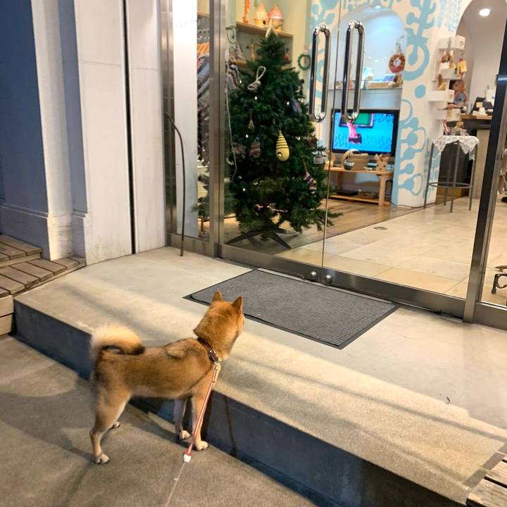 91114773 83a3 488a aa70 dcc9ca527a91 1765096332814