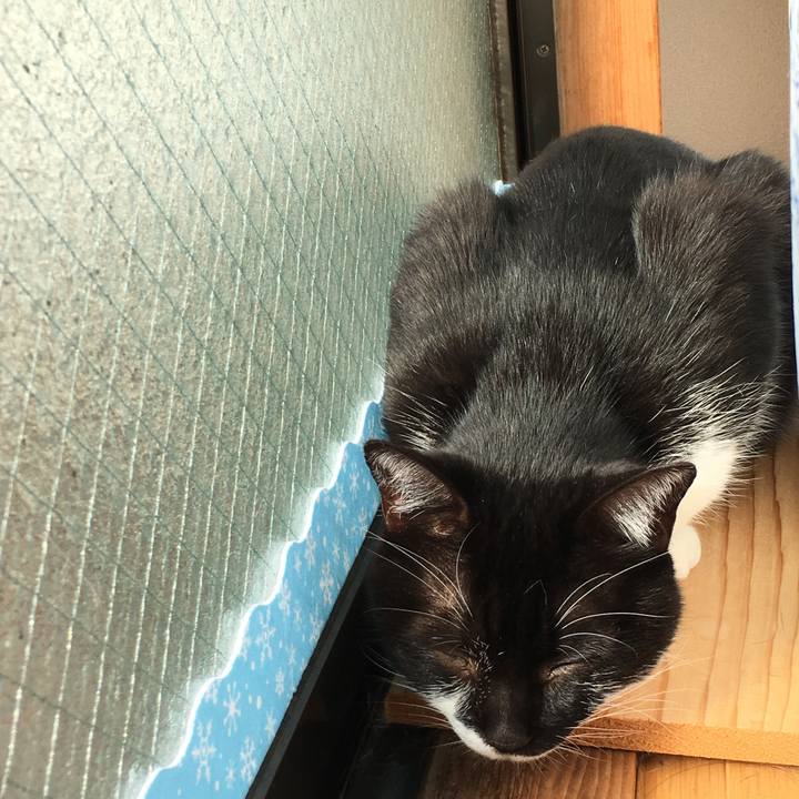 91116af4 e1ae 4a6f a7e8 e91a9c7b852d 1514603068293