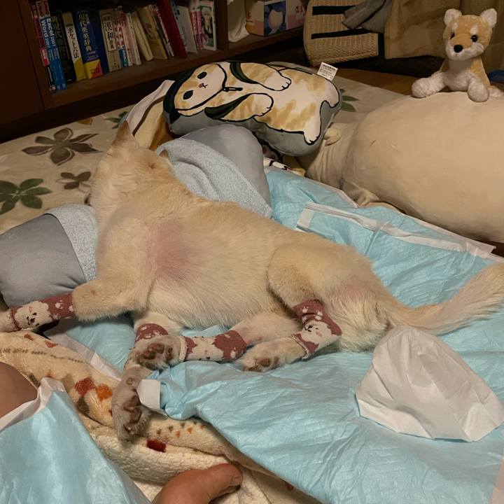 91117e0d f467 468b a257 de364386745d 1683750789957