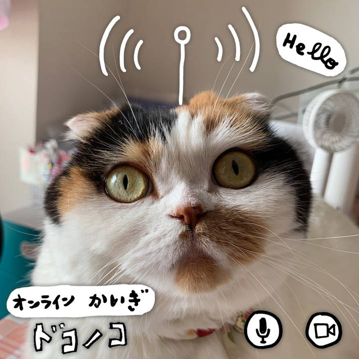 9111861c 0826 4410 bcaf 7bd1770d5f33 1592091284011