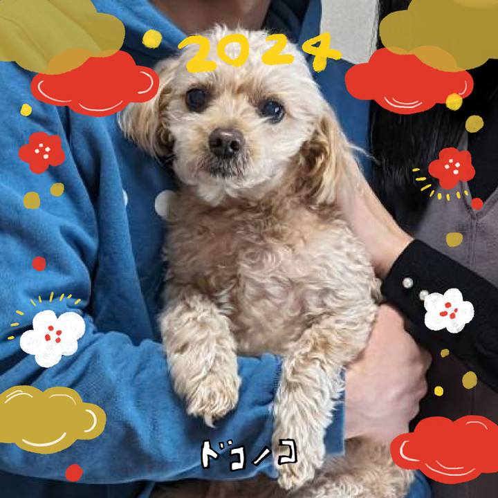 9111f76d 41ce 4171 910e 19d17dd6744e 1704181100092