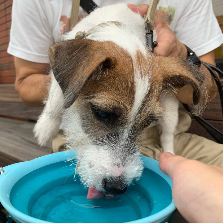 91121236 d1e3 459e 965b e64d5685dc14 1563020733167