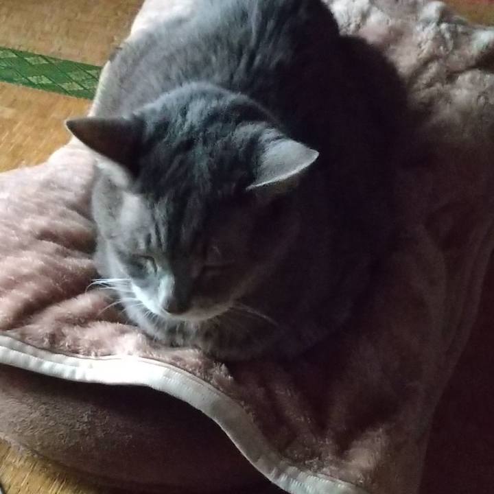 91123d02 e055 43f7 906f d8e882c68a08 1663887546451