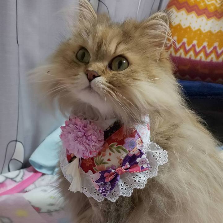 911263a3 5a3f 4637 82d9 3f6be7aa01f4 1646286463826