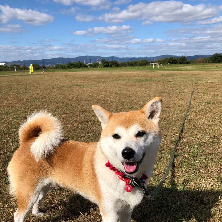 91126faf 07ea 4c55 a9f7 fa3573fedd07 1572847346437