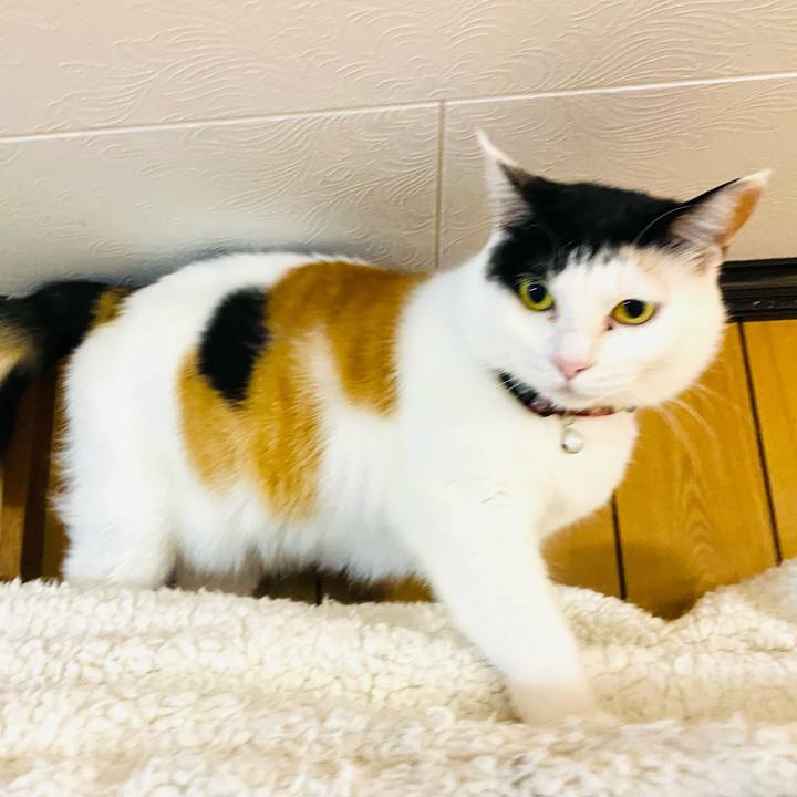 9112b343 8ca8 492f 90ad 85c27492645b 1681311171524