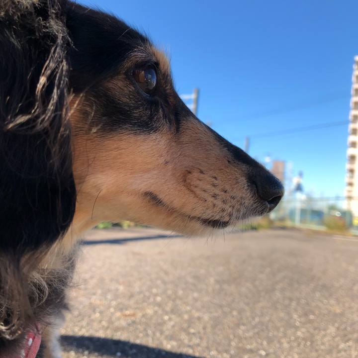 9112f7c4 20b1 43a5 a60b 5c0af1effda6 1573776578736