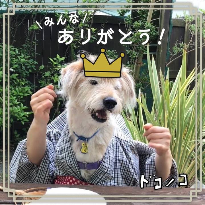 9113029e 5e4e 4b39 bf91 7462f6e272fa 1622887494426