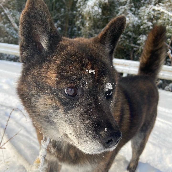 911329e9 8e02 4713 9b4a a102144e2267 1609465549493