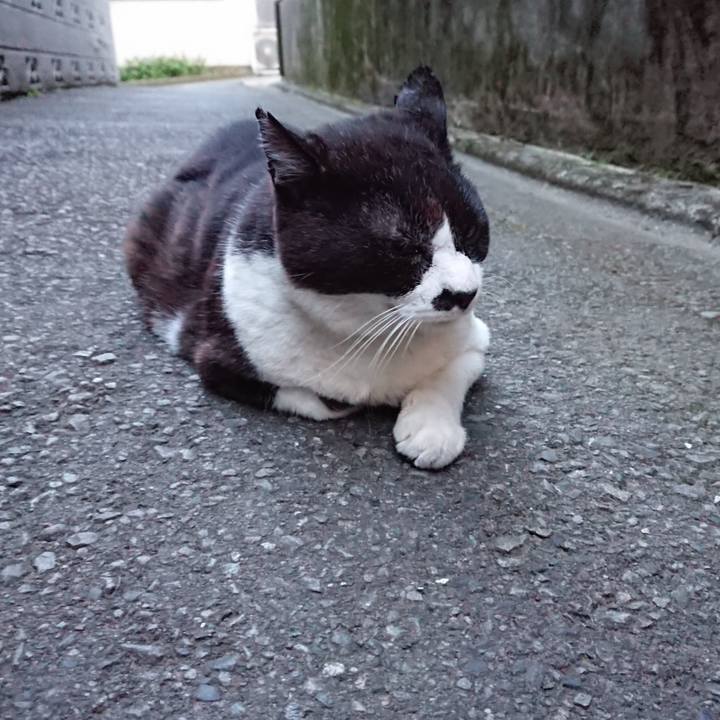 91138e64 e0f8 44a1 8995 f27734676cc7 1654432721004