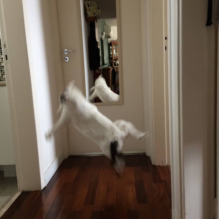 9113e191 d964 4d6f 9edc 027299b3bc3c 1553642953741