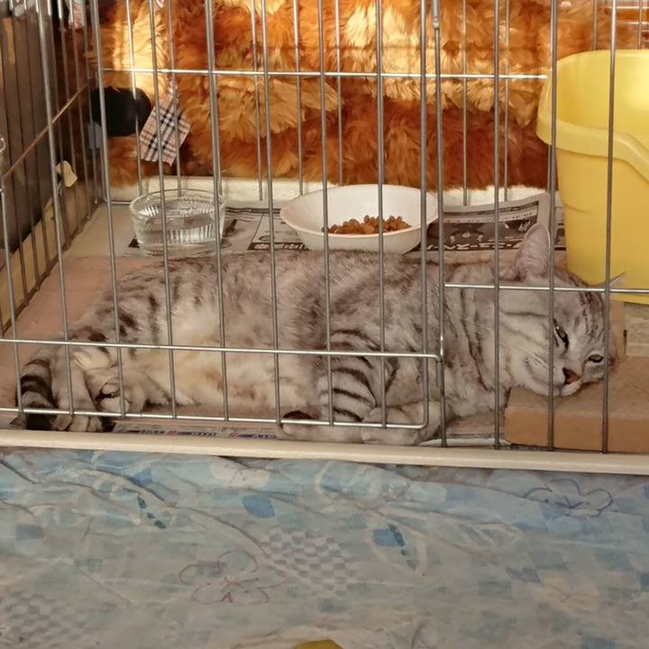 9113e1ea eb54 4688 800e be69edaf1204 1539557441583