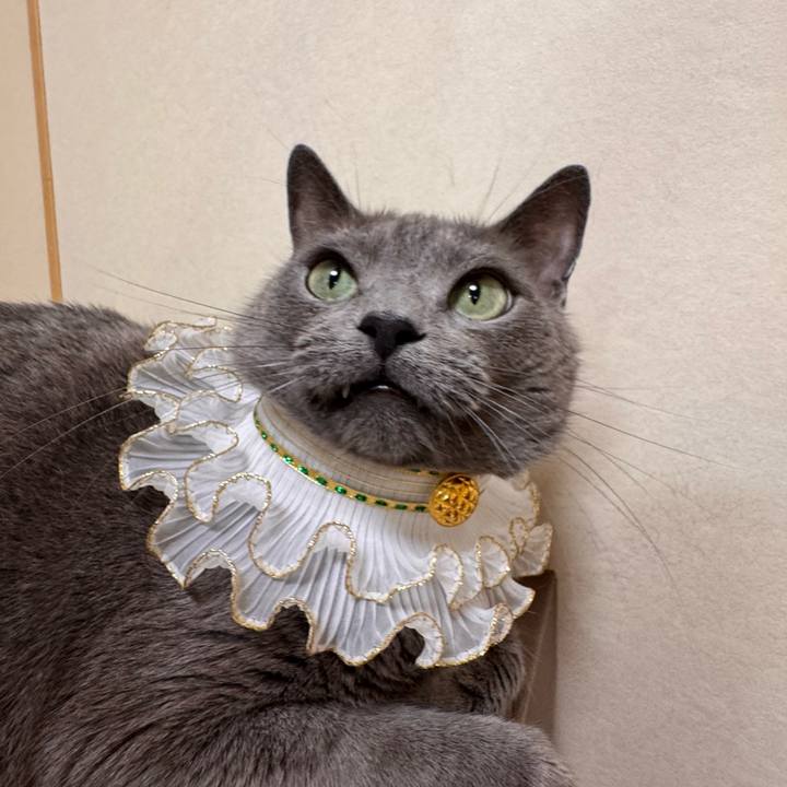 9113fb97 0599 4aa6 b2b7 2a7424251169 1758886468643