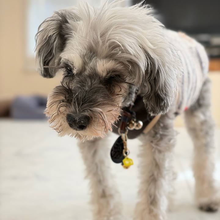 91140682 7cf6 4375 bbac 8ec40a584eb5 1769062454704