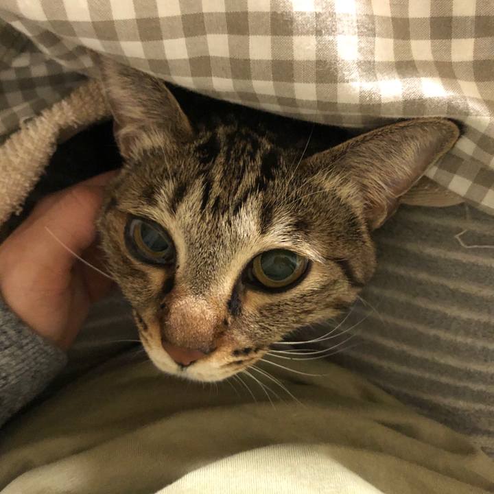 91141fea 0c12 44fe a8db bfb2bc98cd59 1587986593771