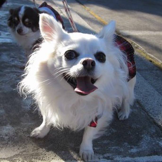 91142ca1 54c4 44d5 8360 a13468865cc1 1540265273915