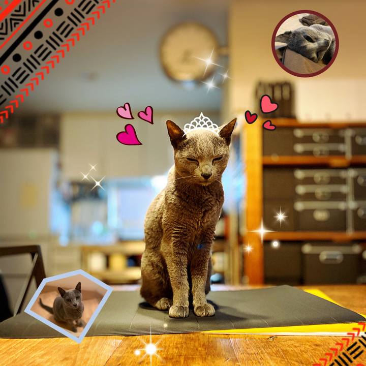 91145e90 38e9 4789 97b7 ea50291cb4fd 1583672294272