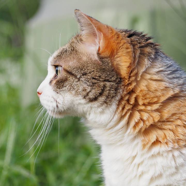 9114808e 63be 4d9e bec5 3660f8d9da97 1765709936898