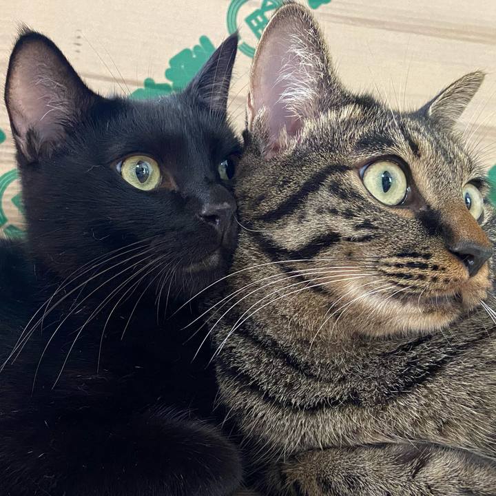 91149954 68b8 4064 9639 6e772ae87a48 1631964820908