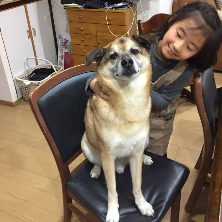 9114a62c 4fdd 4865 9109 0c0ce4edea5a 1577960474973