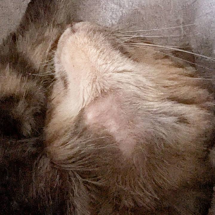 9114aa75 e7e8 4ba1 9a97 86e275911168 1757059558236