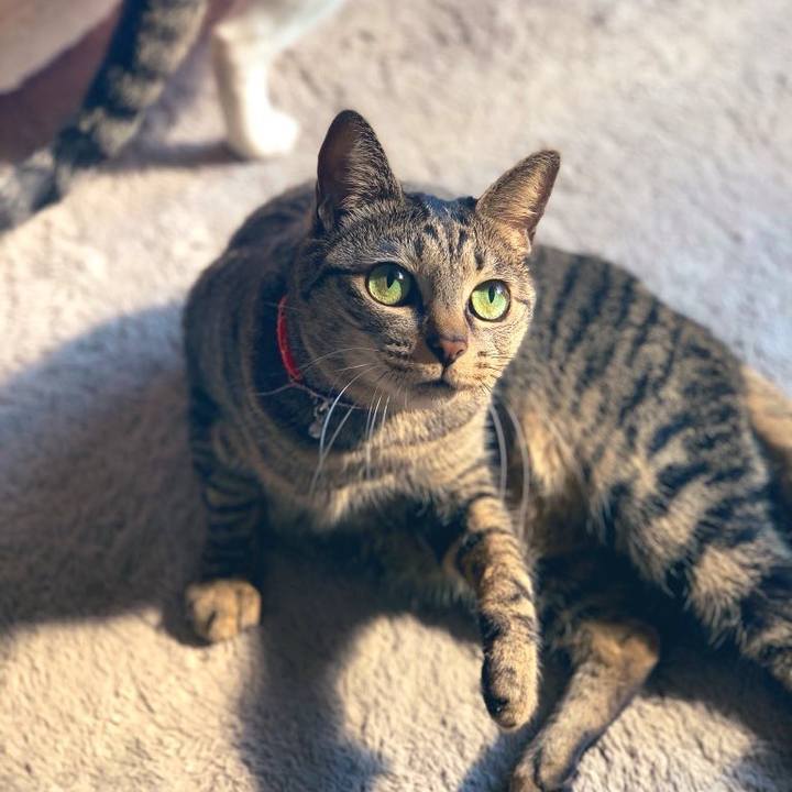 9114b0d4 613d 47cb 896e 214391c8cc9c 1579584337582