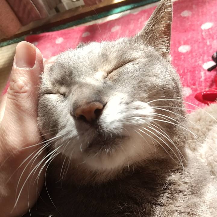 9114c6e1 61ef 4d34 ab85 496679910579 1711972823737