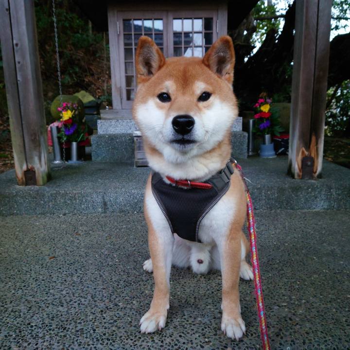 9114e12b 0e41 4260 9f39 e439c0b22aeb 1772063105035