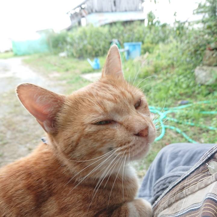 9114f71d 79a3 4d8c 9b44 db3f1456917e 1569133064184