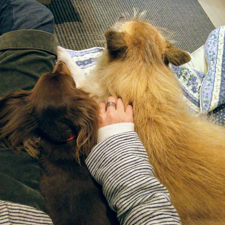 9115025f 00d3 43f7 a05d c9ce71aa1199 1511684229081