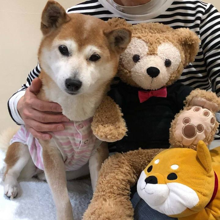 91151717 43ac 436a a6a2 93c1813fea3a 1602298687692