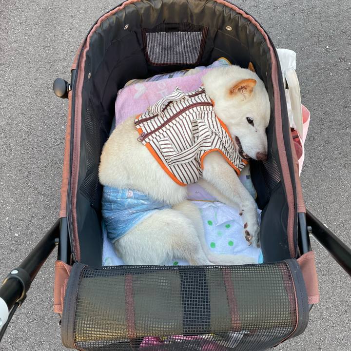 911519b5 869a 48dc 9290 84bc19146084 1659013284258