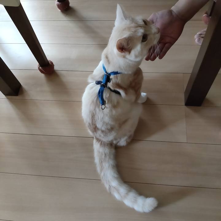 91151d9c 6737 4a4a 847c 941605522821 1658811227170